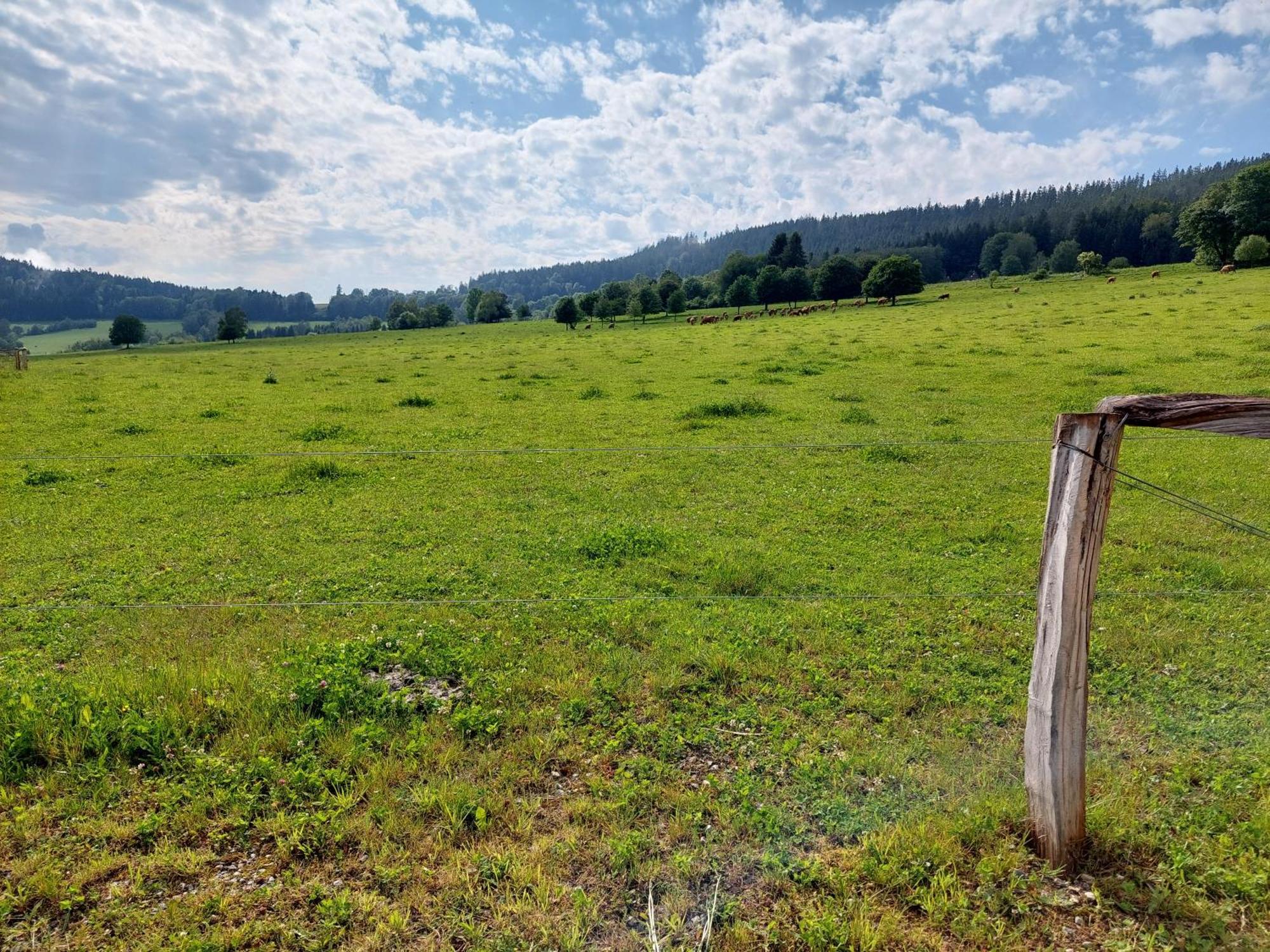 Penzion Slupecna Lipno nad Vltavou Esterno foto