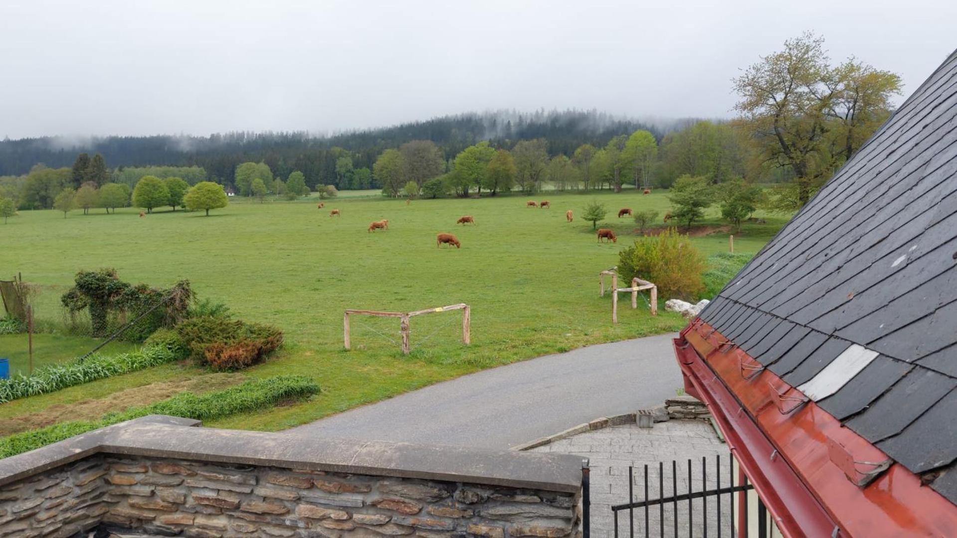 Penzion Slupecna Lipno nad Vltavou Esterno foto
